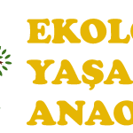 Ekolojik Yaşam Anaokulu Logo Vector