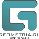 Geometria.ru new Logo Vector