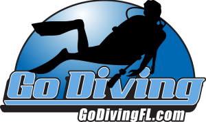 Go Diving FL Logo Vector
