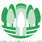 IBAIPINUS Logo Vector