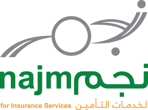 Najm Logo Vector