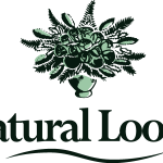 Natural looks Logo Vector