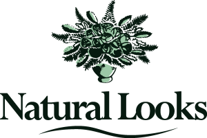 Natural looks Logo Vector