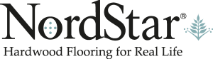 NordStar simple Logo Vector