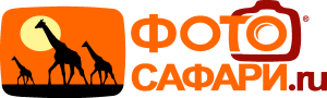 Photosafari.ru Logo Vector