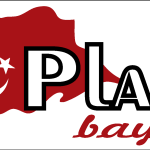 Plan Bayrak Logo Vector