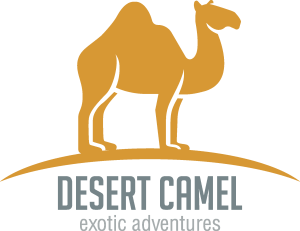 Simple desert camel Logo Vector