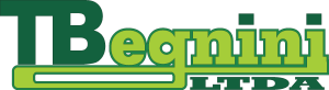 T Beguini Logo Vector