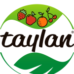 Taylan Logo Vector