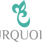 Turquoise Logo Vector