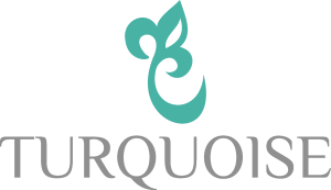 Turquoise Logo Vector
