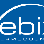 Vebix Logo Vector