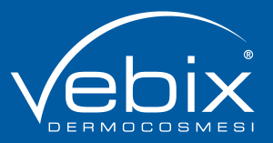 Vebix Logo Vector