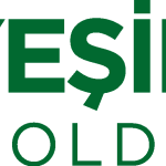 Yesilova Holding Logo Vector