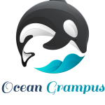 Ocean grampus Logo Vector