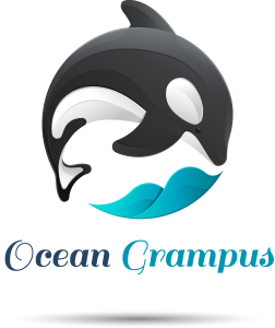 Ocean grampus Logo Vector