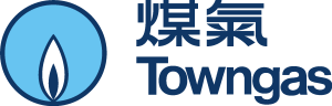 Towngas Logo Vector