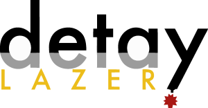 Detay Lazer Logo Vector
