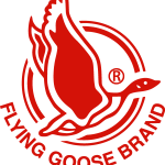 Flying Goose Brand Logo Vector