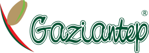 Gaziantep Logo Vector