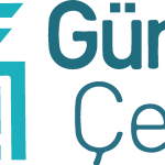 Güney Çelik Logo Vector