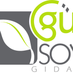 Gursoy Logo Vector