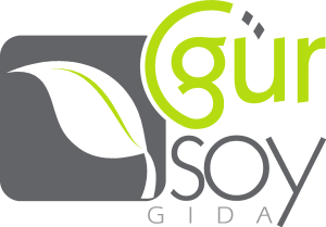 Gursoy Logo Vector