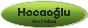 Hocaoğlu Aktar Baharat Logo Vector