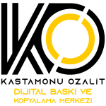 Kastamonu Ozalit Logo Vector