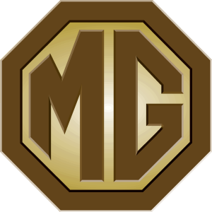 MG Gold Logo Vector