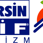 Mersin Vi Logo Vector