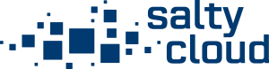 SaltyCloud Logo Vector