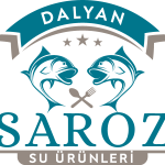 Saroz Dalyan Logo Vector