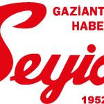 Seyidoglu Logo Vector