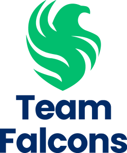 Team Falcons Logo Vector