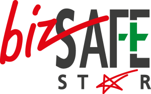 biz safe star Logo Vector