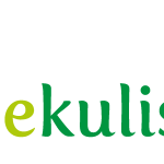 eKulisha Logo Vector