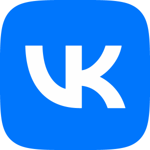 VK Social Icon Logo Vector