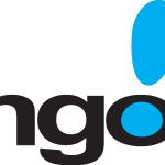 Bango.net logo vector