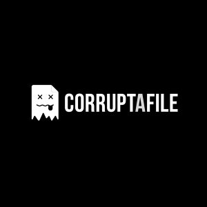 Corrupt a File Logo Vector