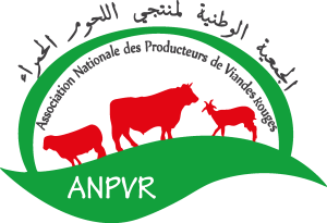 ANPVR MAROC Logo Vector