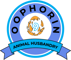 AH 9 batch Logo PNG SVG Vector