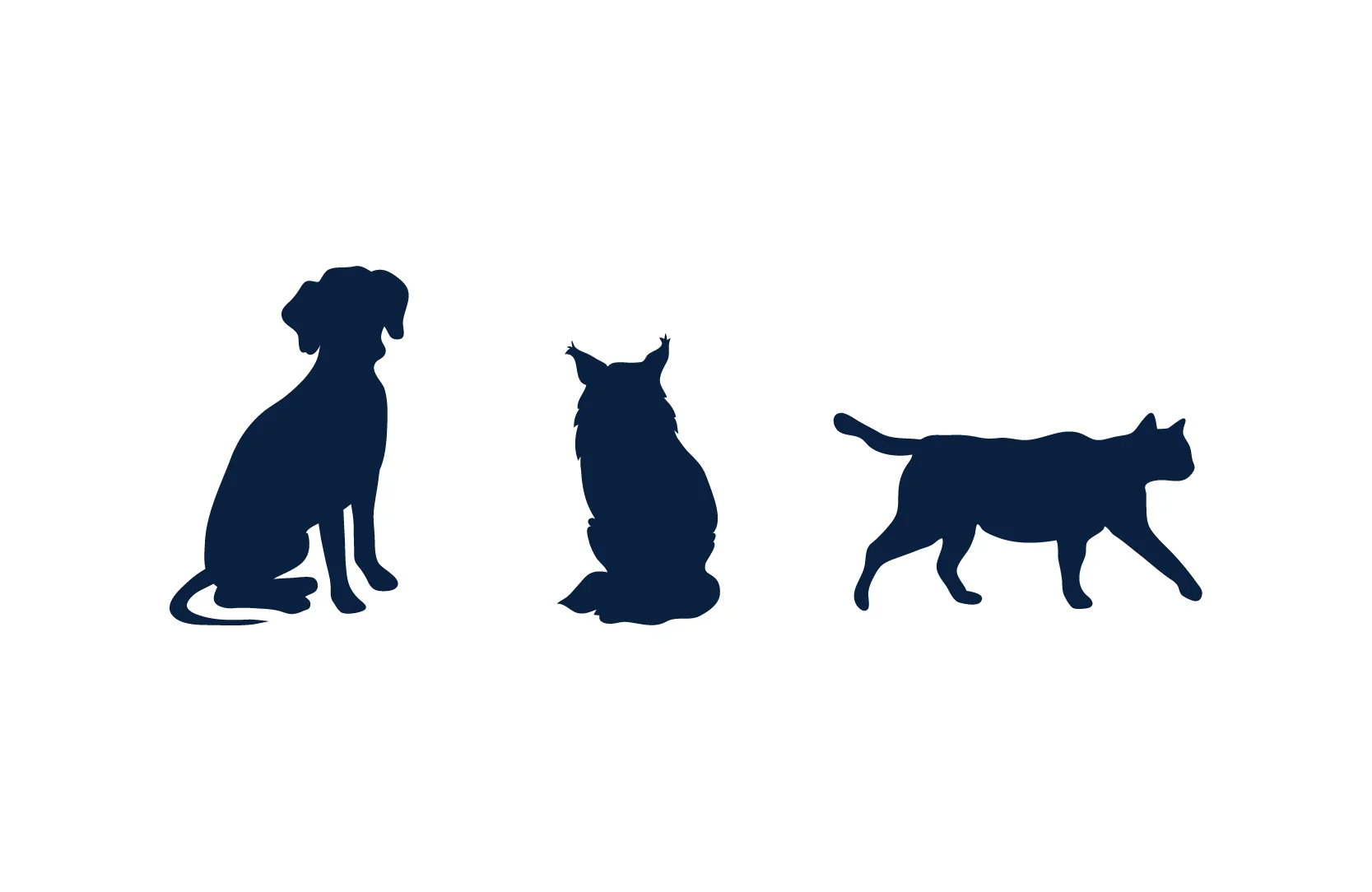 Animal & Pet