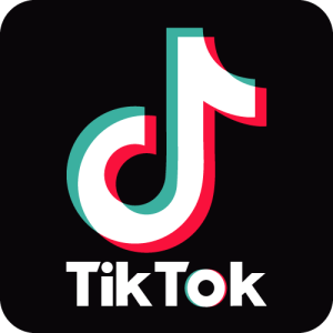 Tiktok Logo Vector