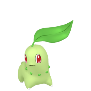 Chikorita