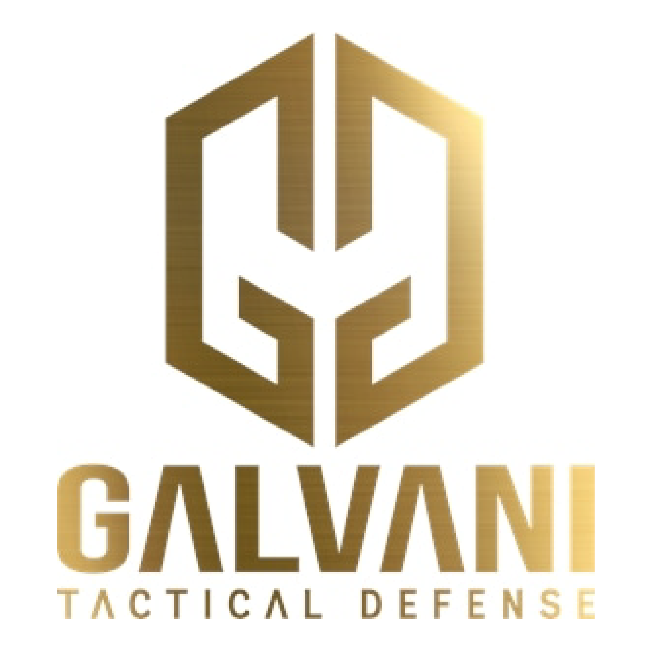 GALVANI TACTICAL Logo PNG SVG Vector GALVANI TACTICAL Logo PNG SVG Vector