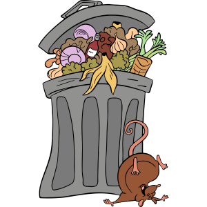 Ratatouille (40) PNG