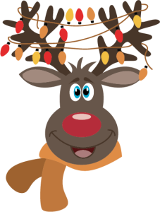 11 deer