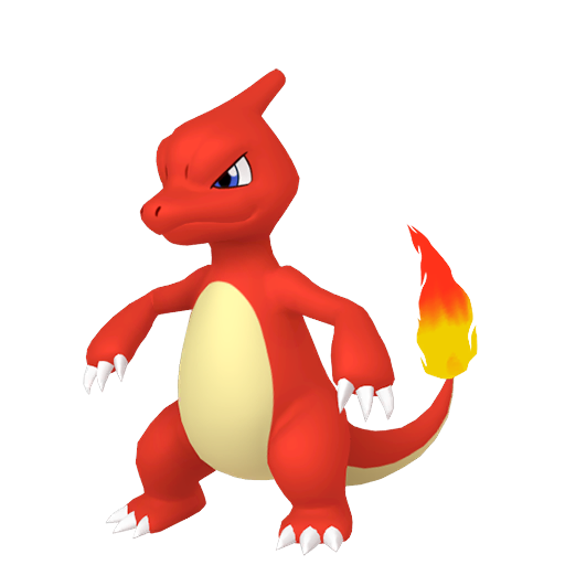 Pokemon Charmeleon Vector Pokemon Charmeleon Vector