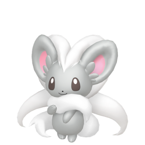 Cinccino
